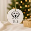 Custom Pet Ceramic Ornament – Dog Memorial Keepsake, First Christmas