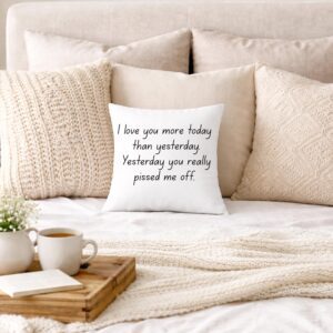 Funny Throw Pillow Cover | I Love You More Today Than Yesterday Pillow | Sarcastic Home Decor | Couples Gift | Modern Farmhouse Cushion