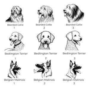 Alternative view of Bearded Collie, Bedlington Terrier, Belgian Malinois Custom Pet Portrait Dog Water Bottle with Bowl