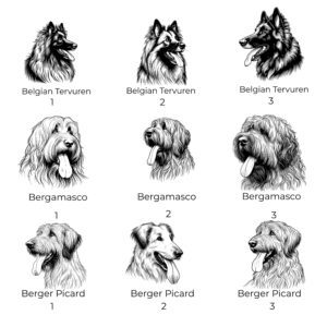 Alternative view of Belgian Tervuren, Bergamasco, Berger Picard Custom Pet Water Bottle with Bowl