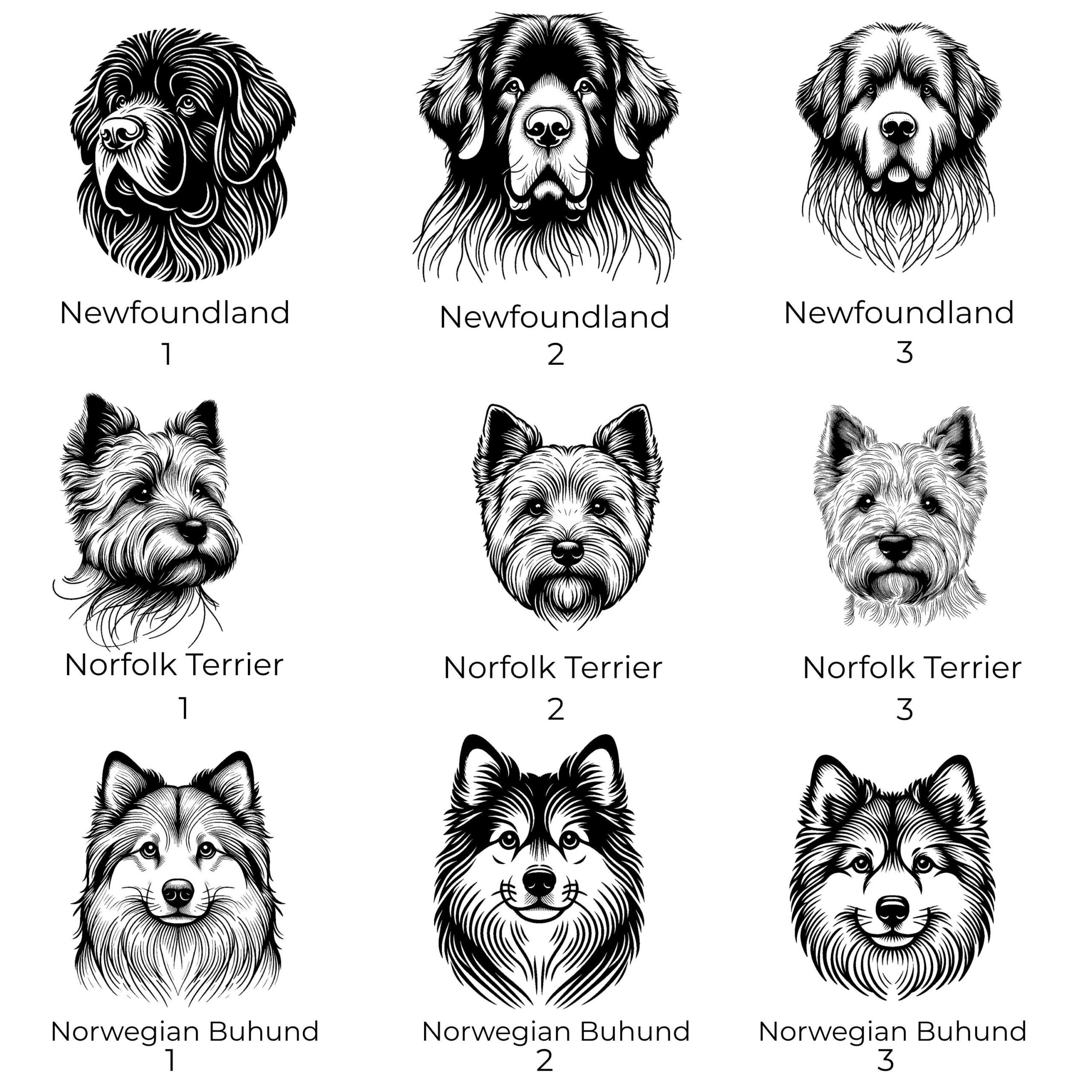 Newfoundland, Norfolk Terrier & Norwegian Buhund Custom Pet Portrait Bottle and bowl - Image 4