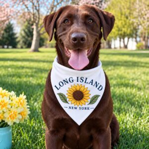 Long Island Sunflower Dog Bandana | NY Pet Accessory, Local Gift
